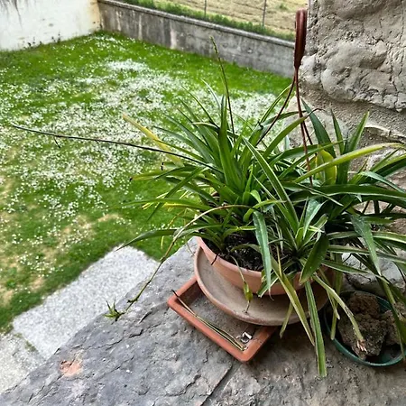 Rasiglia * Rasiglia